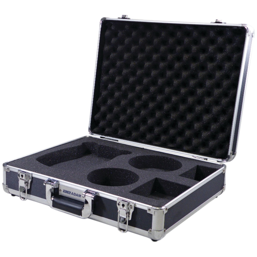 Hard carrying case with lock